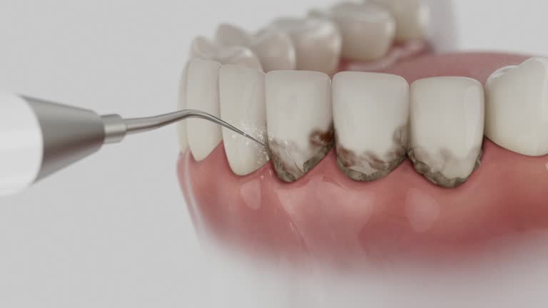 Reliable Dental contractor in Royston, GA by Dentist Open Now